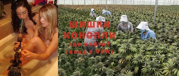ГАЛЛЮЦИНОГЕННЫЕ ГРИБЫ Арсеньев