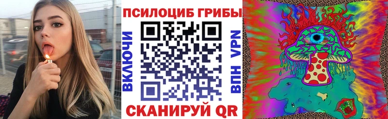 Купить  Сурск  Галлюциногенные грибы ЛСД 